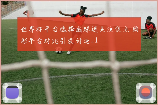 世界杯平台选择成球迷关注焦点 购彩平台对比引发讨论_1