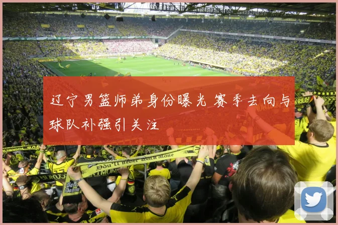 辽宁男篮师弟身份曝光 赛季去向与球队补强引关注