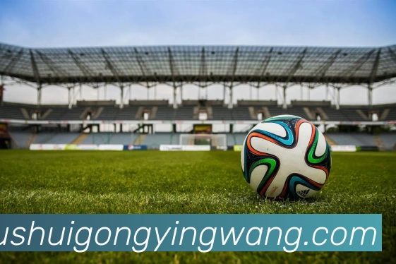 华体会综合体育登录发展历程