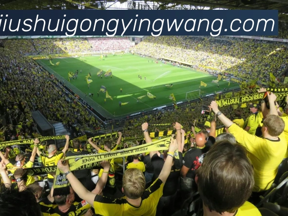 体育数据展示