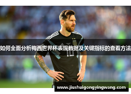 如何全面分析梅西世界杯表现数据及关键指标的查看方法
